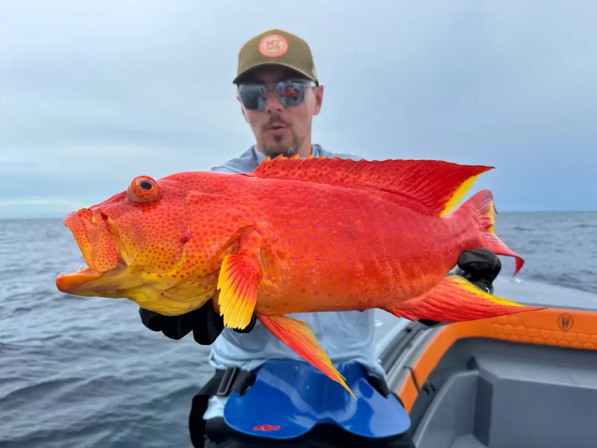 Тур Big Game Drop Off 8h